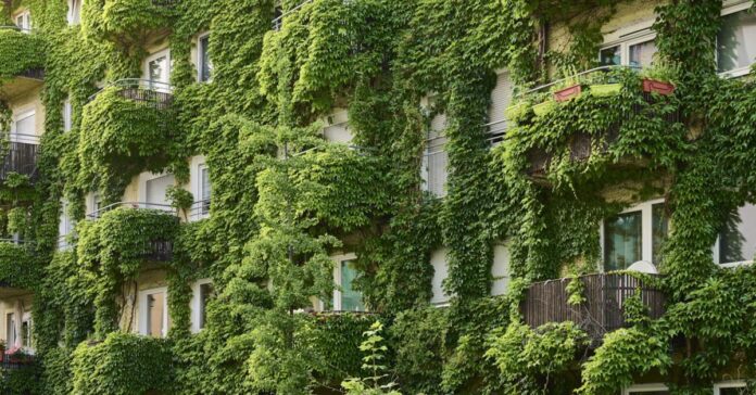 Begrüntes Haus in Nürnberg (Quelle: Stadt Nürnberg/Gerhard Illig)