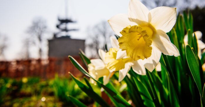 Blumenstadt Erfurt: Impression aus dem egapark (Quelle: Landeshauptstadt Erfurt/Steve Bauerschmidt)