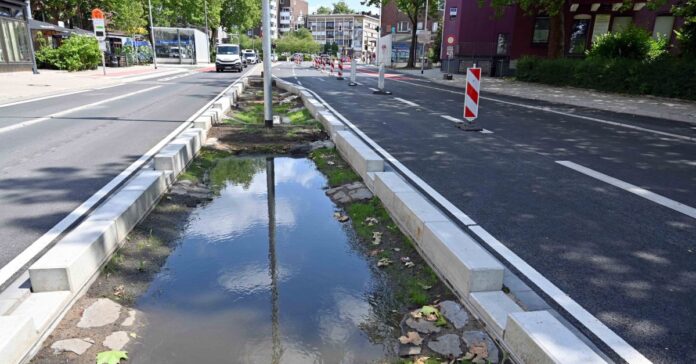 Schwammstadtprinzip im Straßenraum (Quelle: Stadt Bochum/Andre Grabowski)